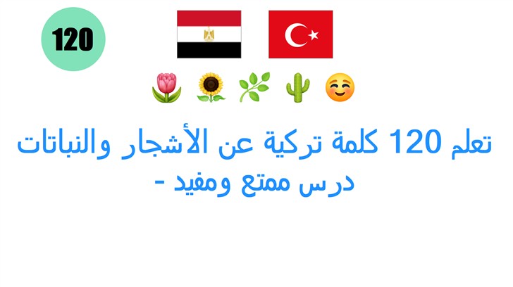 تعلم 120 كلمة تركية عن الأشجار والنباتات - درس ممتع ومفيد